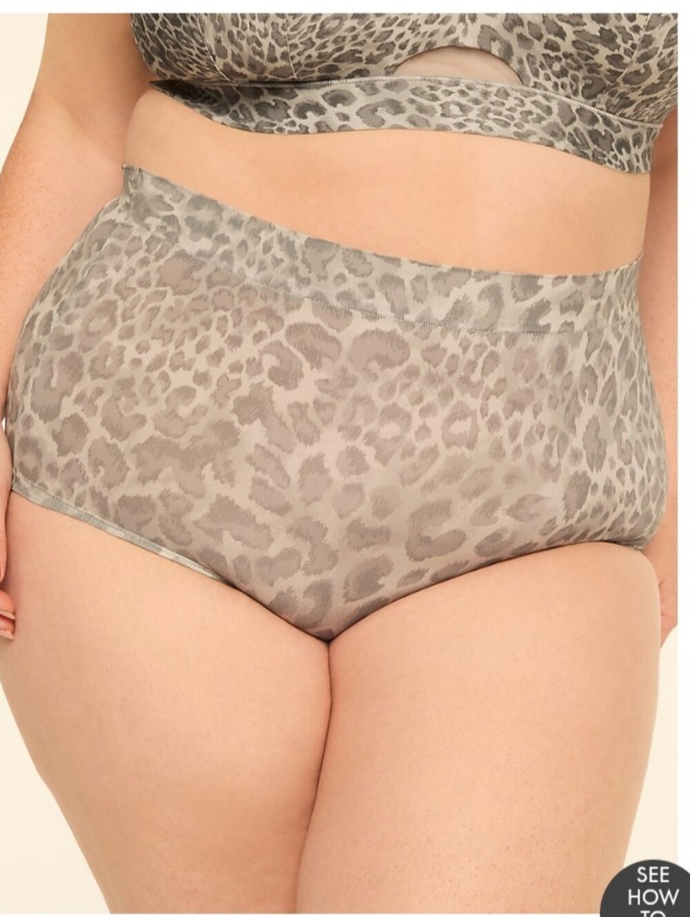 Cacique 22/24 High Waist Brief